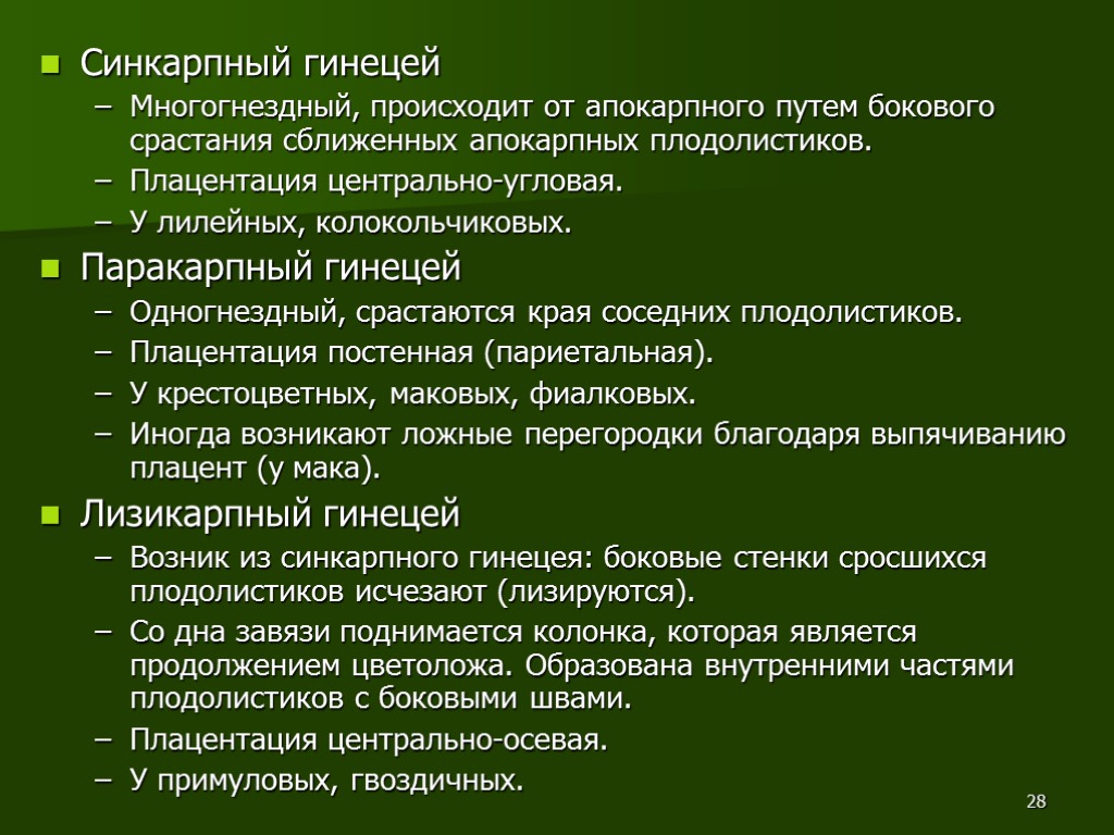 28 Синкарпный гинецей Многогнездный, происходит от апокарпного путем бокового срастания сближенных апокарпных плодолистиков. Плацентация